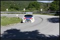 6 Peugeot 208 T16 P.Andreucci - A.Andreussi (56)